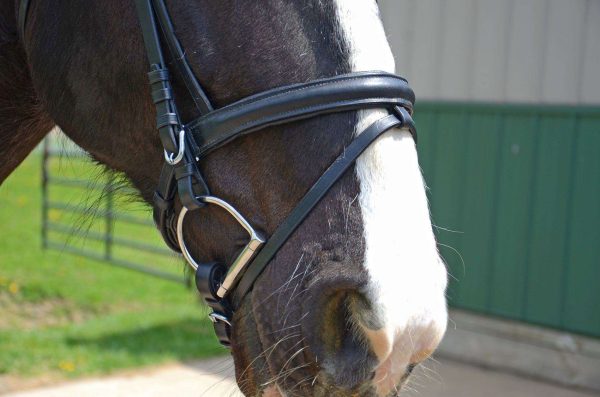 Paris Tack Black Leather Dressage Crank Horse Bridle with Flash and Rubber Reins - Image 5